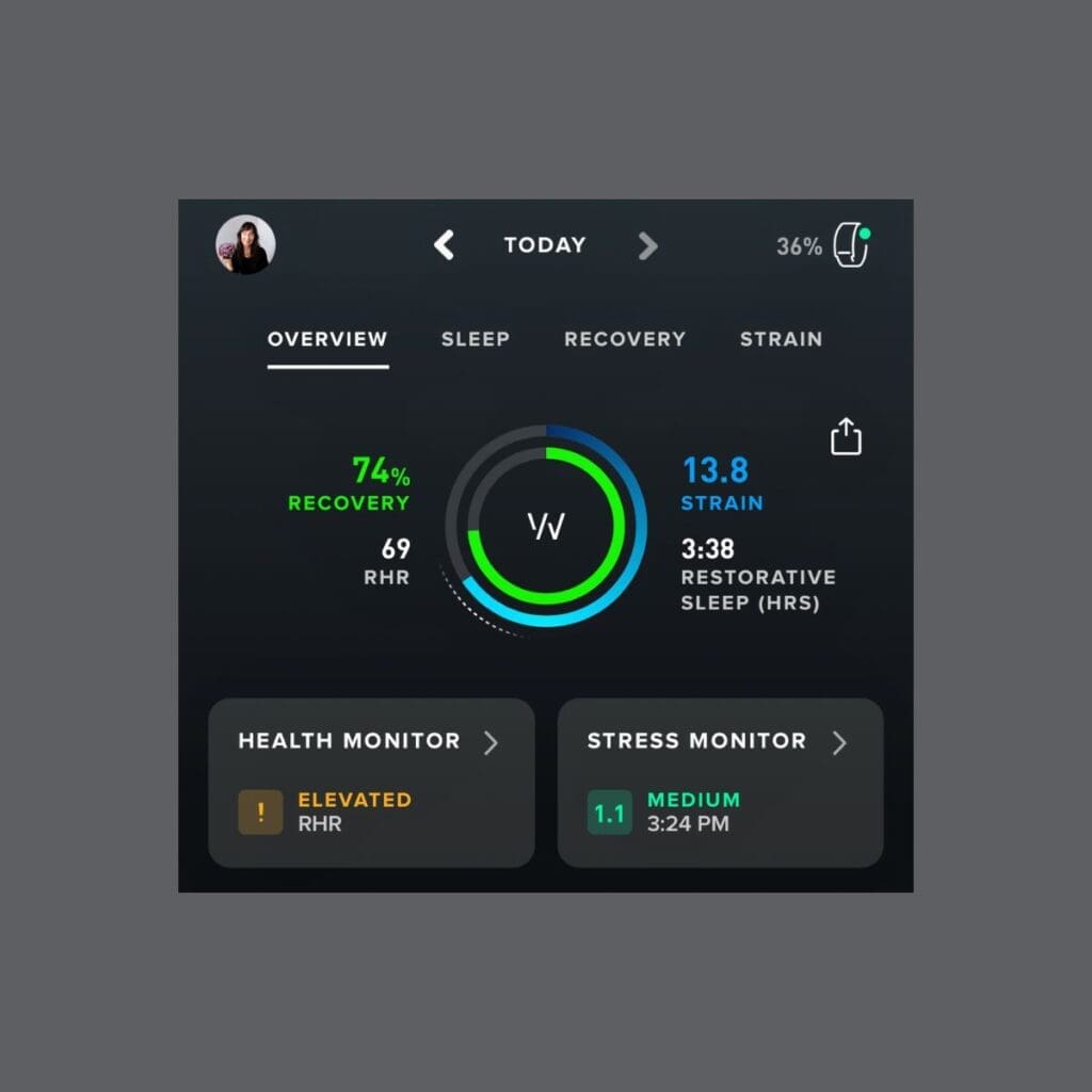 Screenshot from Whoop app dashboard showing reduced recovery metrics after alcohol consumption: 74% recovery (green), elevated RHR of 69, 13.8 strain (blue), and 3:38 hours of restorative sleep. The Health Monitor section displays an 'Elevated RHR' warning with a yellow exclamation mark, while the Stress Monitor shows 'Medium' level at 3:24 PM.