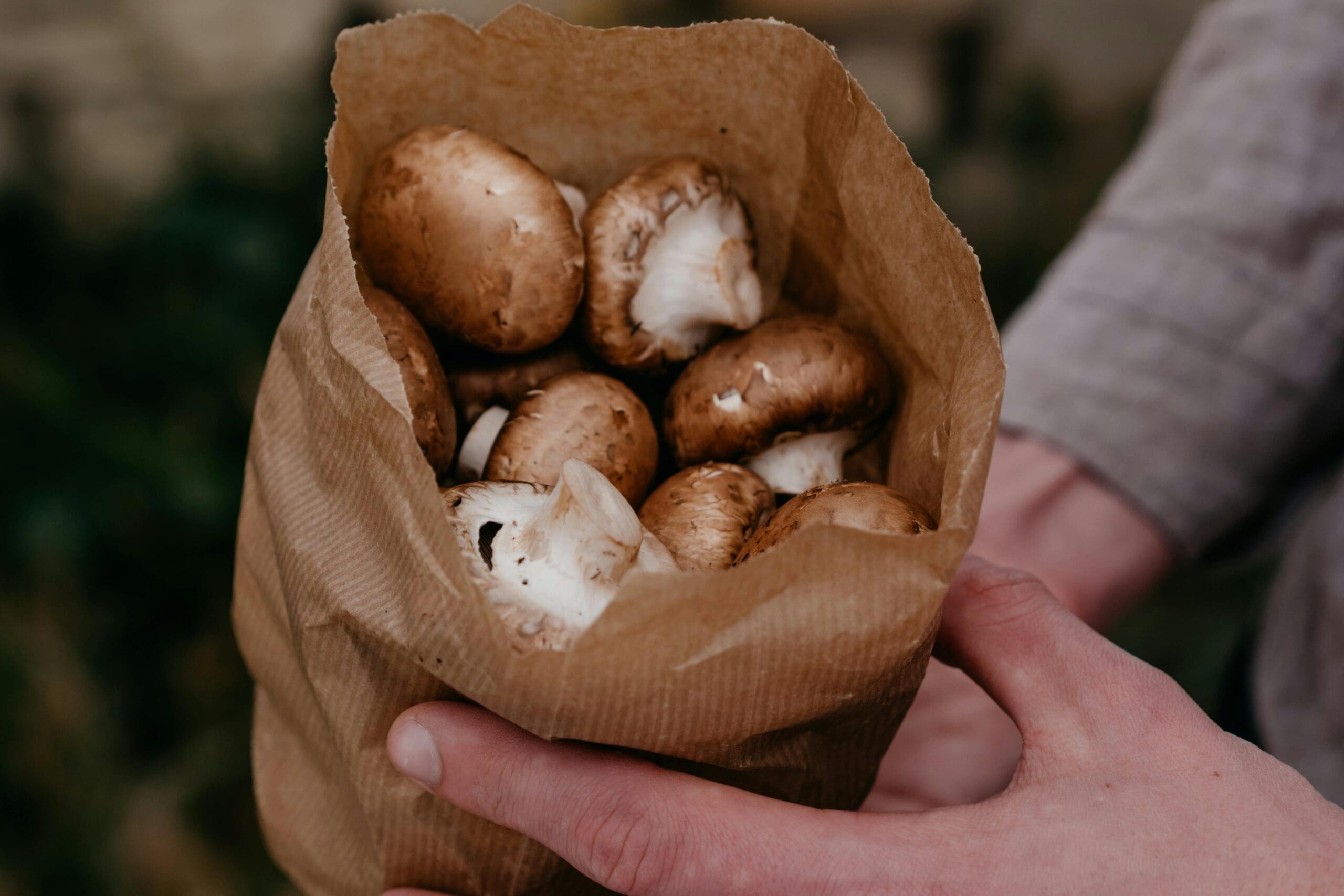 Fresh mushrooms in paper bag for savory steel cut oats breakfast recipe